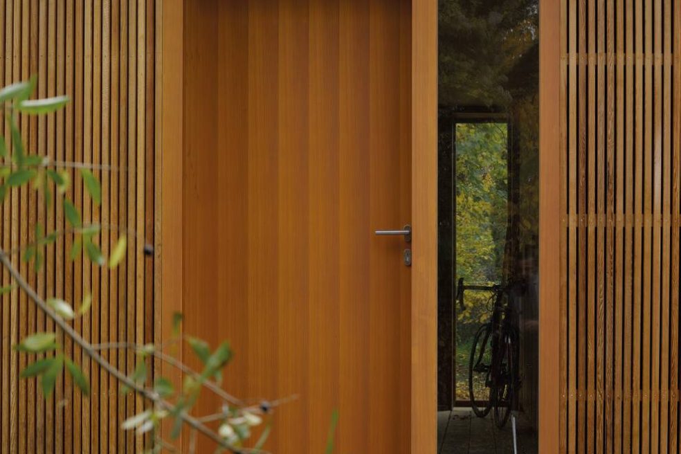 Portes en bois